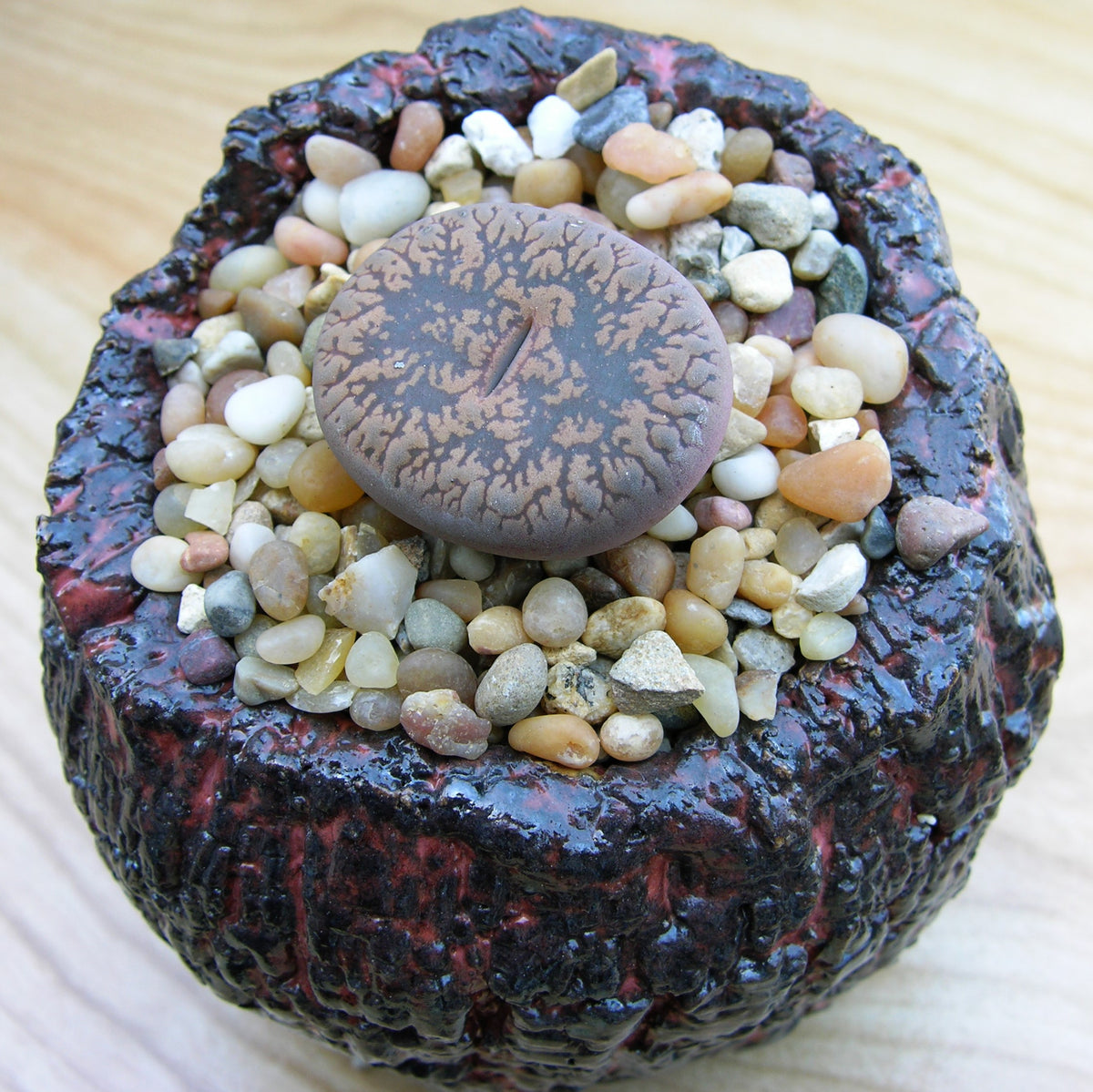 How to keep Lithops alive