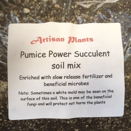 Pumice power Succulent soil mix 4 lbs (Shipping included in price)